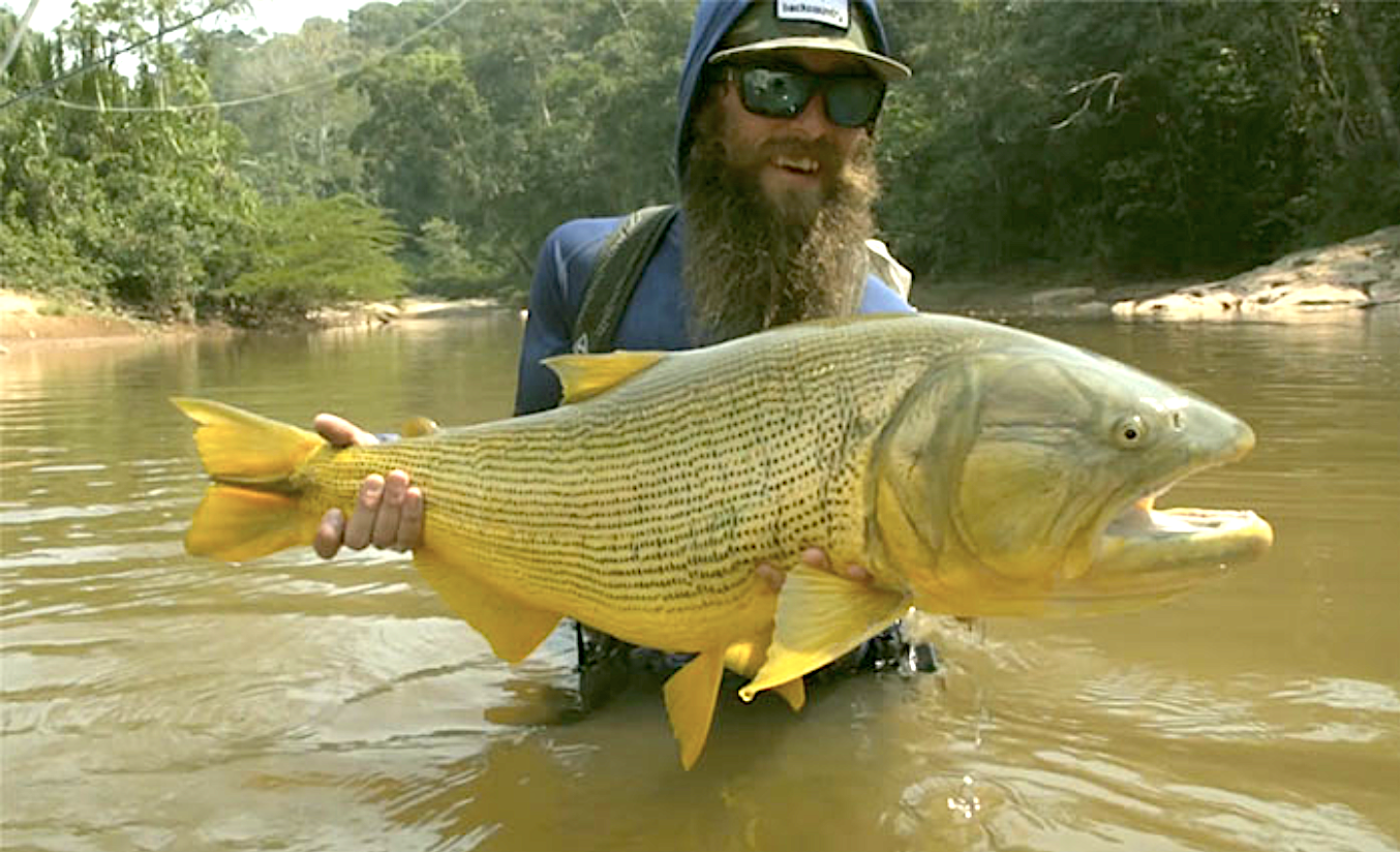 Golden Dorado, gefangen im Amazonas mit der Fliegenrute - zu sehen im Film-Tipp von ORVIS.
